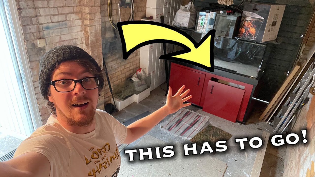 Garage to Fishroom #1 - Everything That's About to Happen!