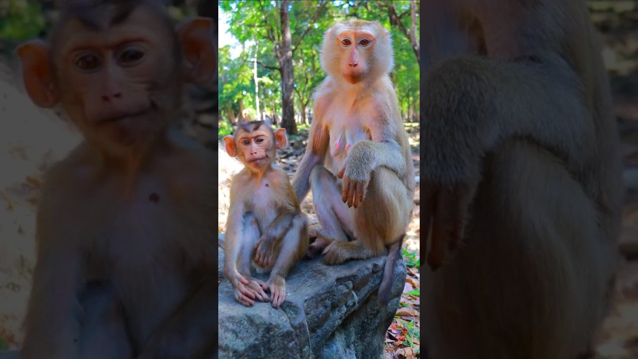Adorable kendra & Mom Katrina Eating Lotus
