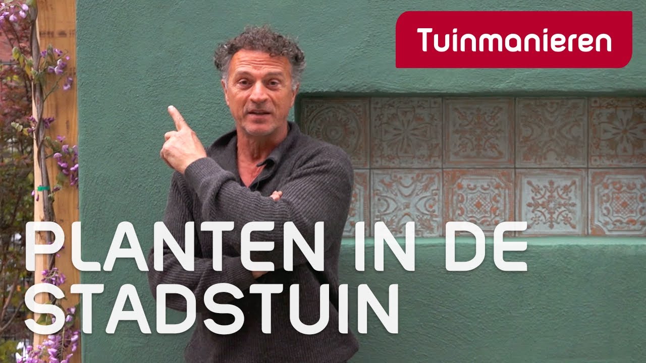 Tuinklus dag 3 - Welke planten in de nieuwe stadstuin | Tuinaanleg | Tuinmanieren