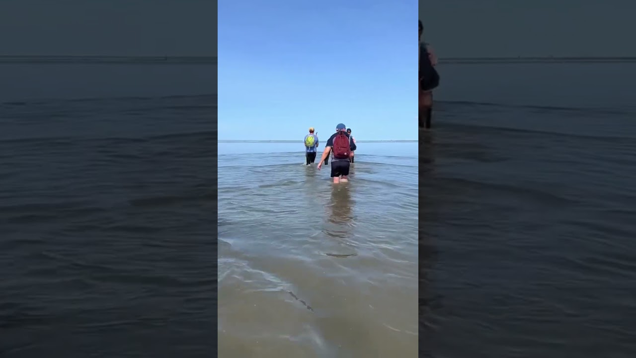 Wadlopen or mudflat hiking in the Netherlands was so much fun! #holland #nederland #wadden