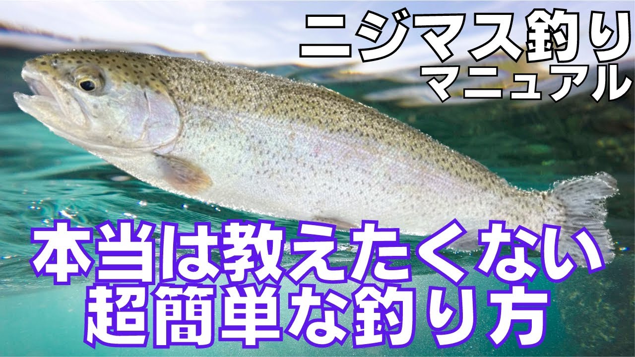 ニジマスが釣りたい方へ！初心者が超簡単に釣る方法！