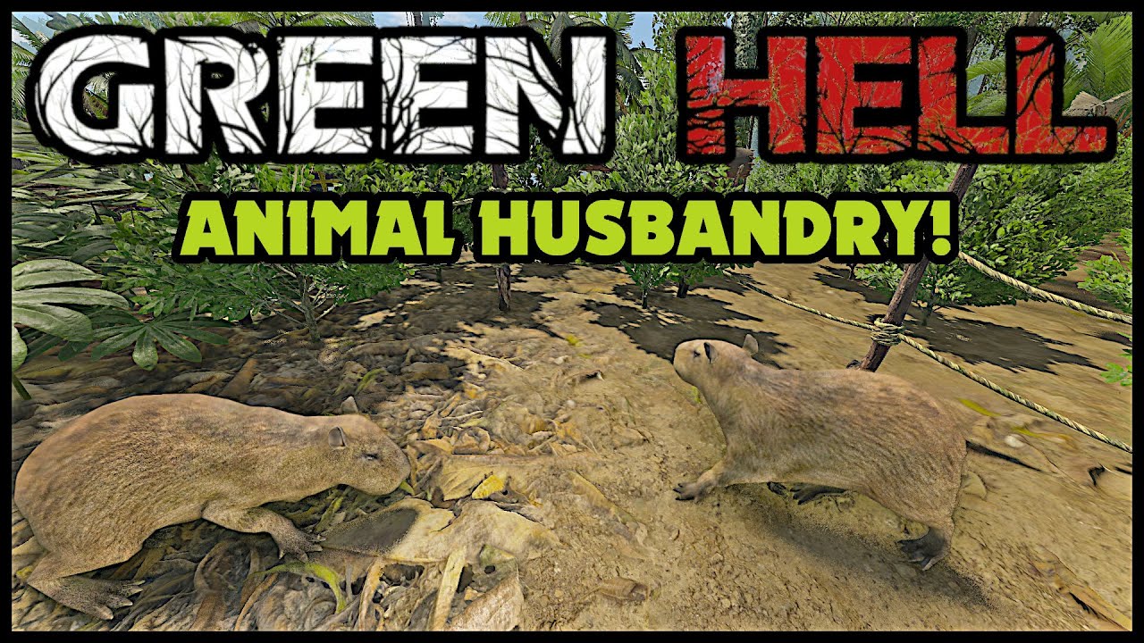 Animal Husbandry Update and Catching Up | How to Green Hell | Survival Tips PC EP.7