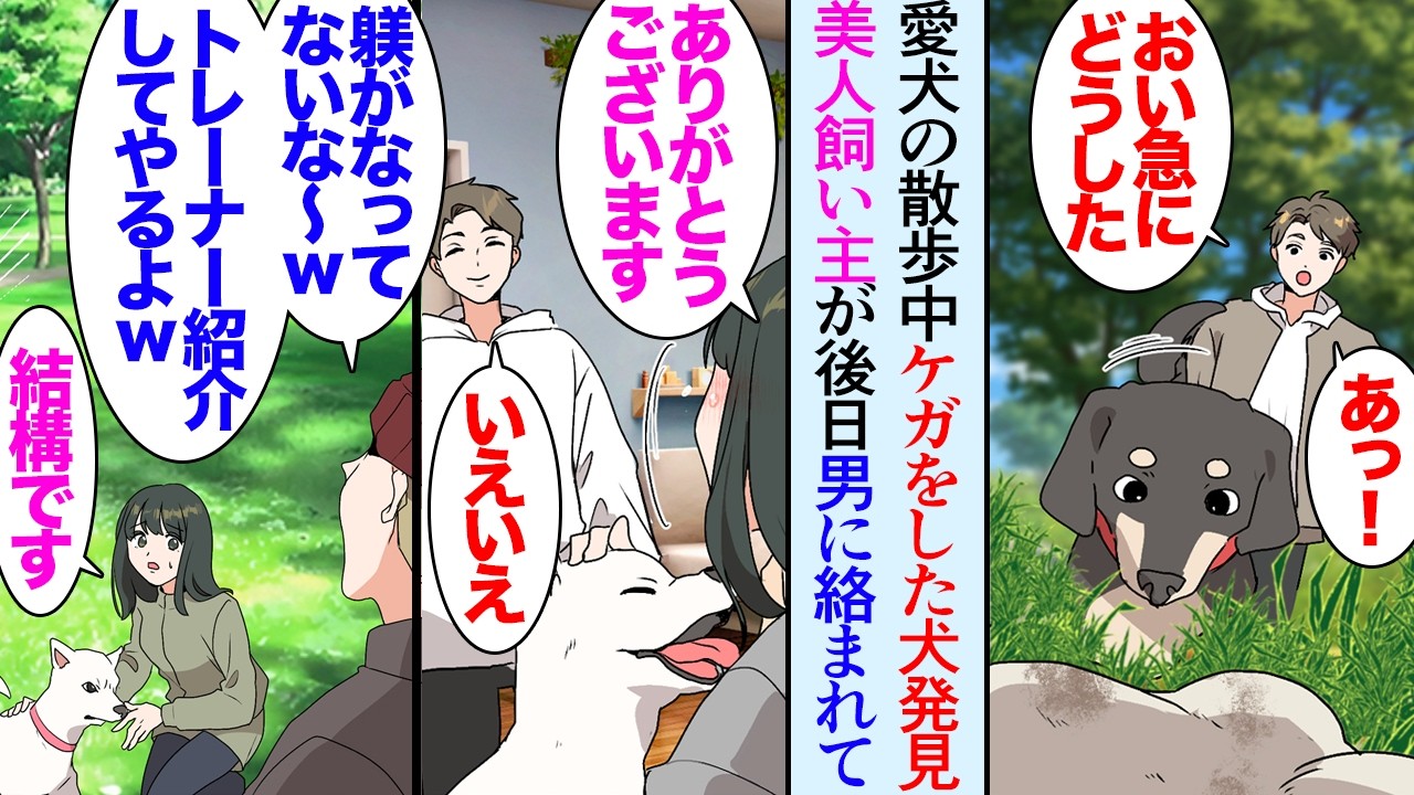 【漫画】愛犬の散歩中にケガをしている迷い犬を発見し動物病院に連れて行った「首輪に電話番号が書いてある」→美人な飼い主さんと仲良くなったんだがある日、男に絡まれていて「躾がなってないなｗ」【マンガ動画】