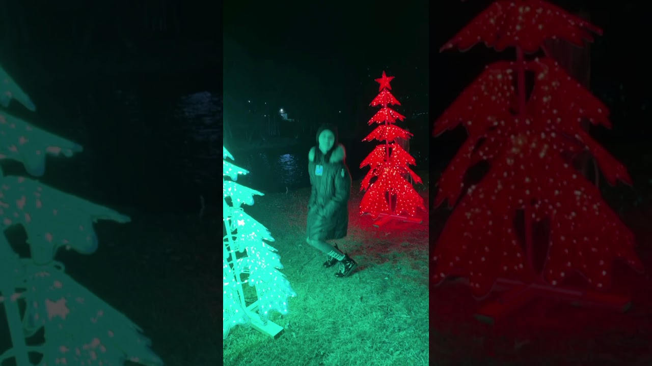 Sams Christmas village!