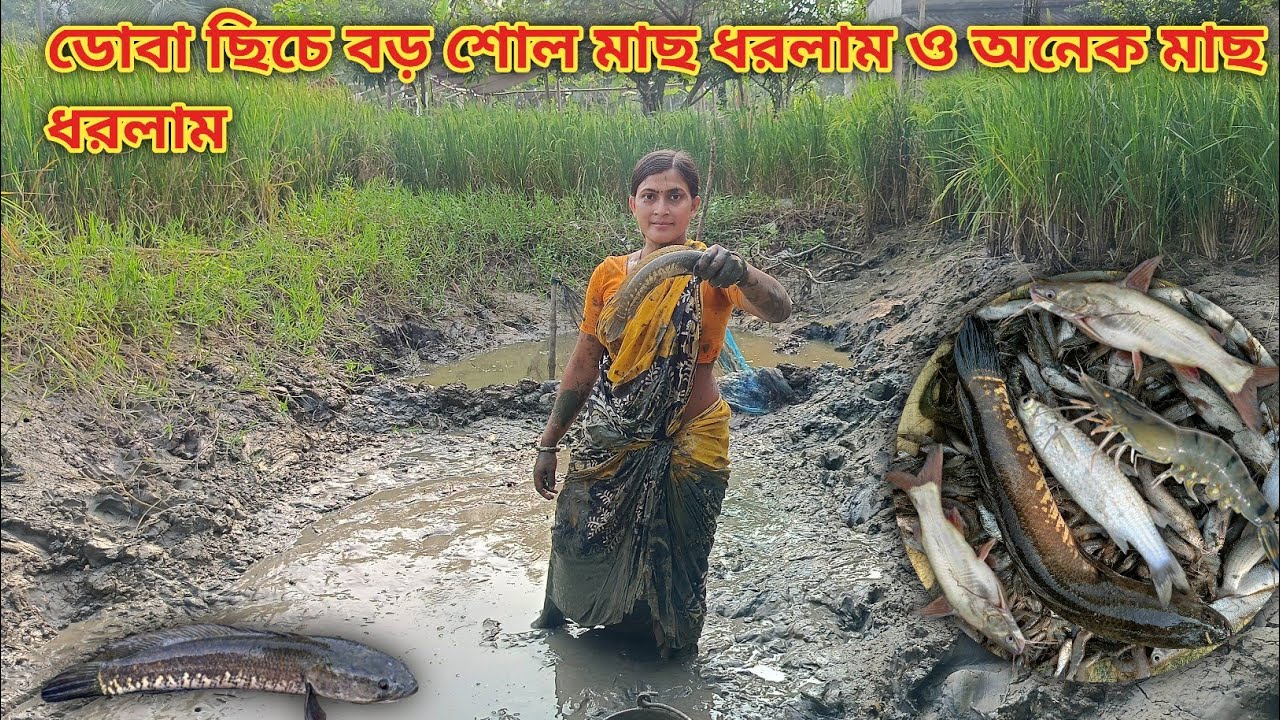 ডোবা ছিচে মাছ দেখে অবাক জলের চেয়ে মাছ বেশি ! Village fishing || Nandita Sundarban life 