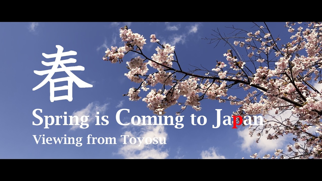 Spring Is Coming to Japan! Viewing from Toyosu