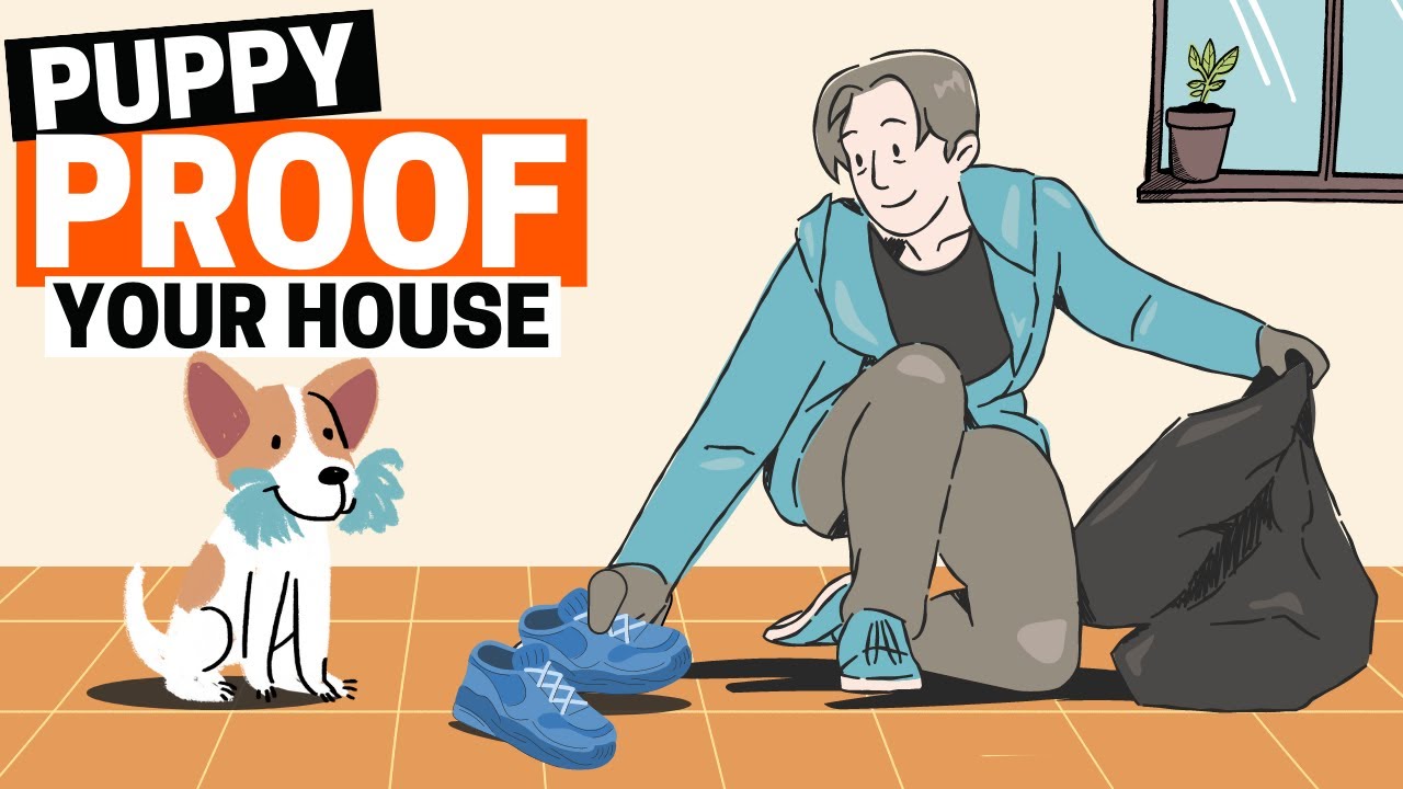 How to Puppy Proof your House?