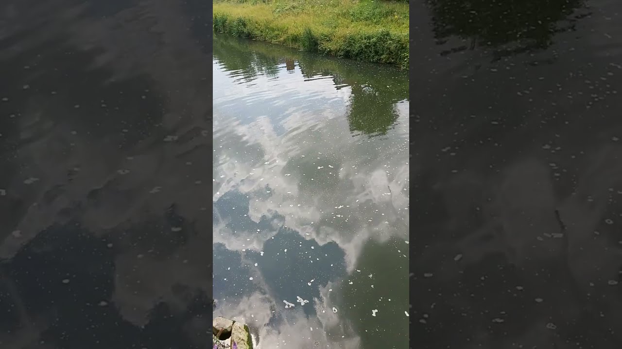 Jubilee River and Riverside Walk (Taplow Riverside)