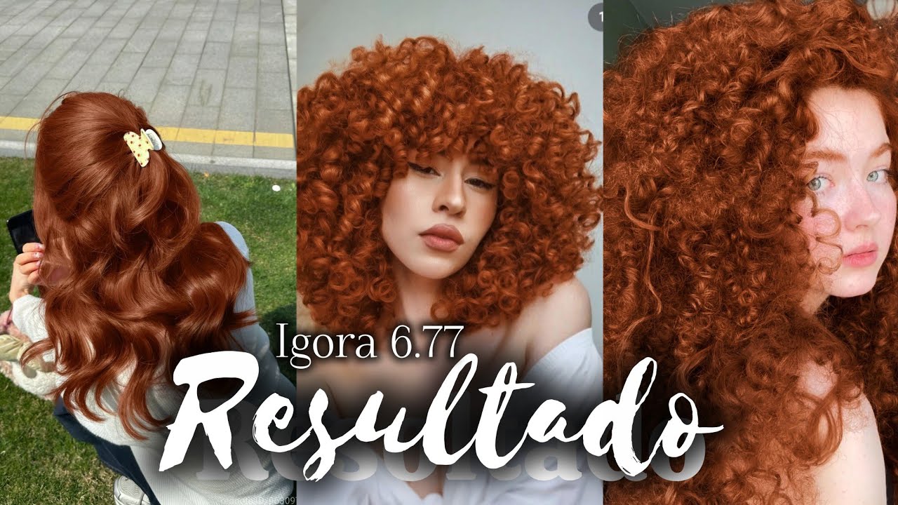 Ruivo Igora 6.77 em Cabelos Pretos, Castanhos e Loiros #igora6.77 #igoraroyal