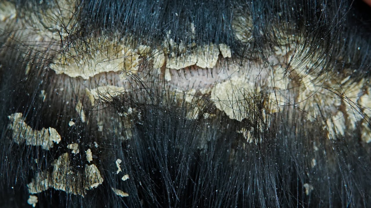 Clean Hair Care Sounds for Relaxation #0006