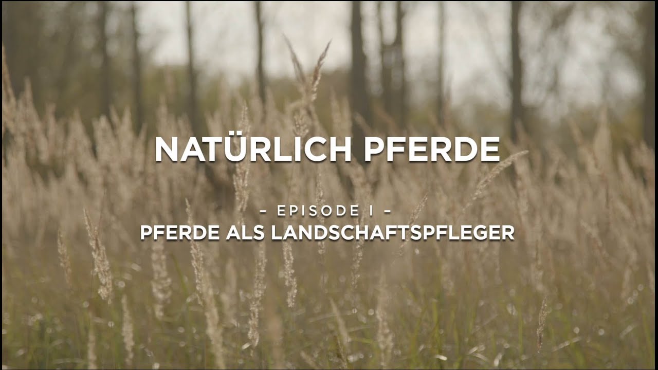 Natürlich Pferde