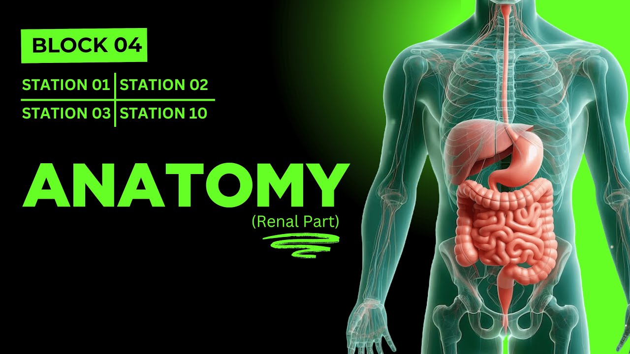 Station 01, 02, 03, 10 | Part 02 | Block 04 | Ultimate OSPE Guide | Dr Awais Haral