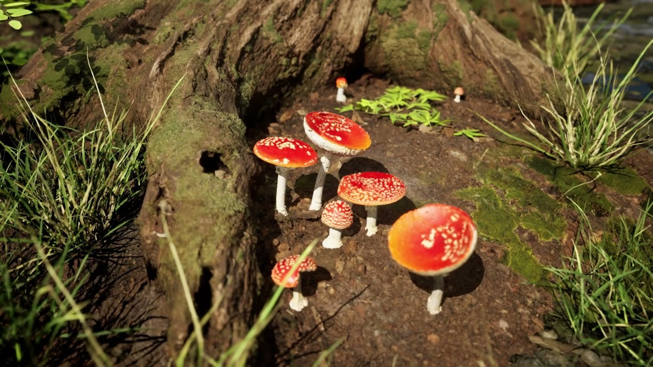Realistic Nature Scene in Unreal Engine 5