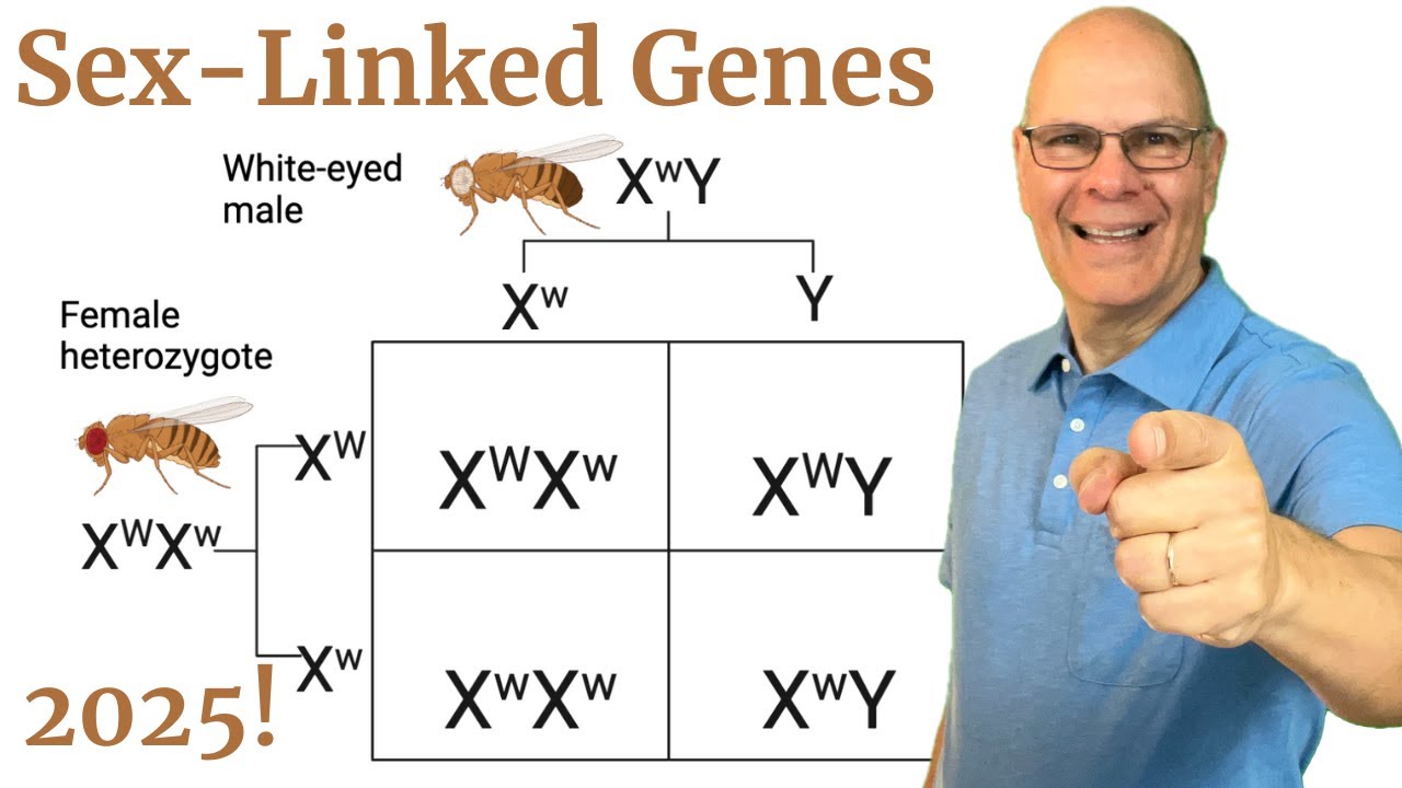 Why *Sex-Linked* Genes Are So Freakin' Cool!