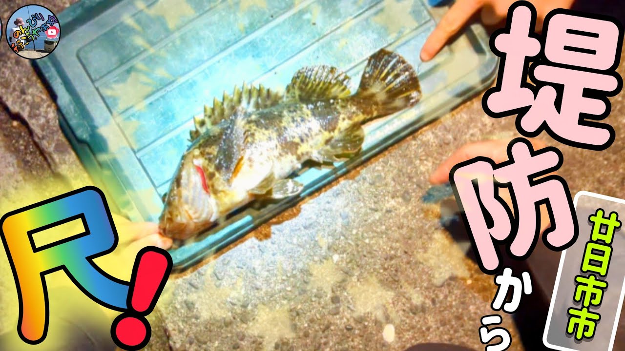 2月中旬釣行🎣メバリング釣行で中学生アングラーの松ちゃんがやってくれました🎉狙いはメバルだったのになぁ〜🤣