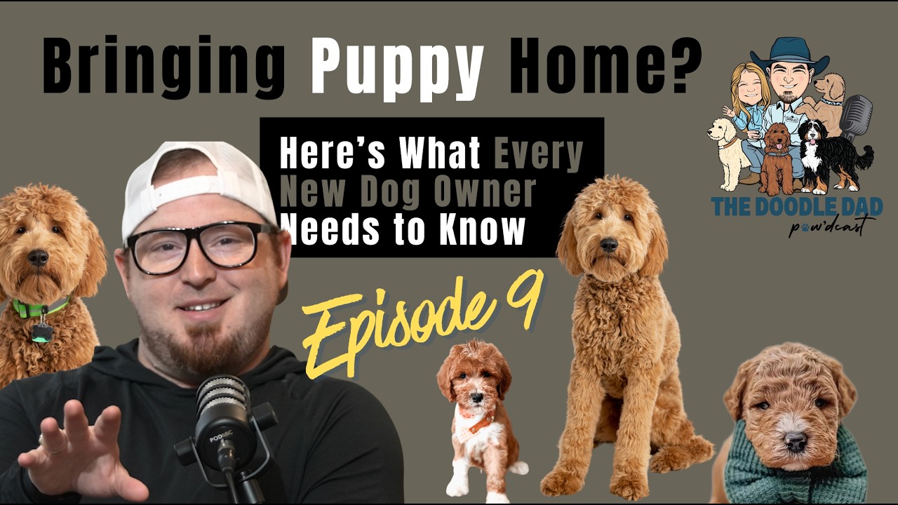 Episode 9: Bringing Puppy Home? Here’s What Every New Dog Owner Needs to Know