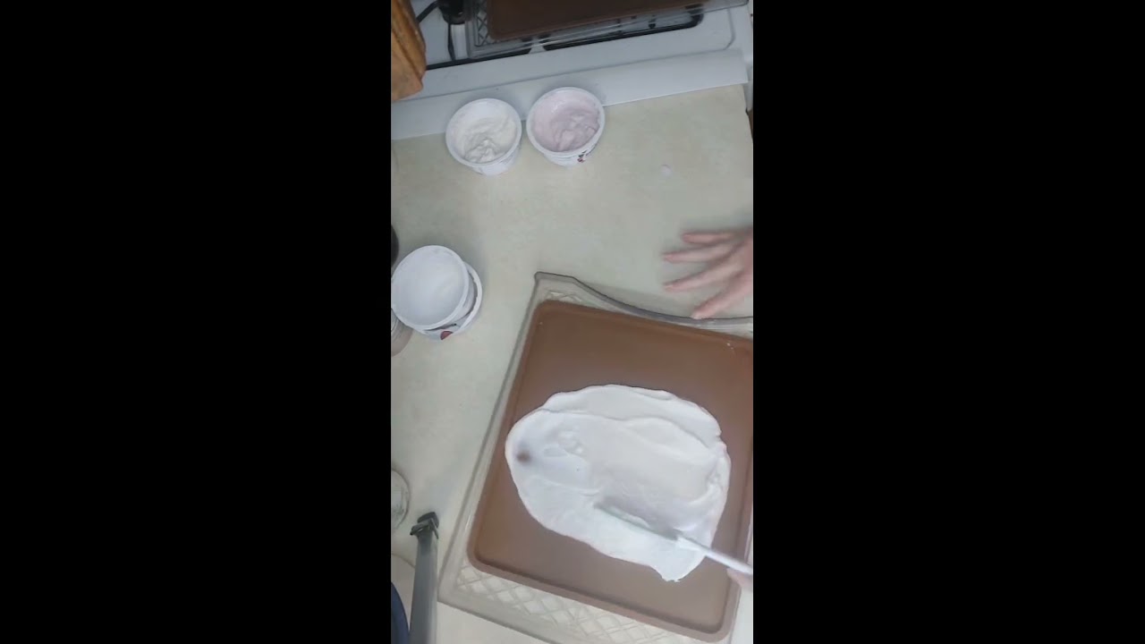 Dehydrated Yogurt Powders..