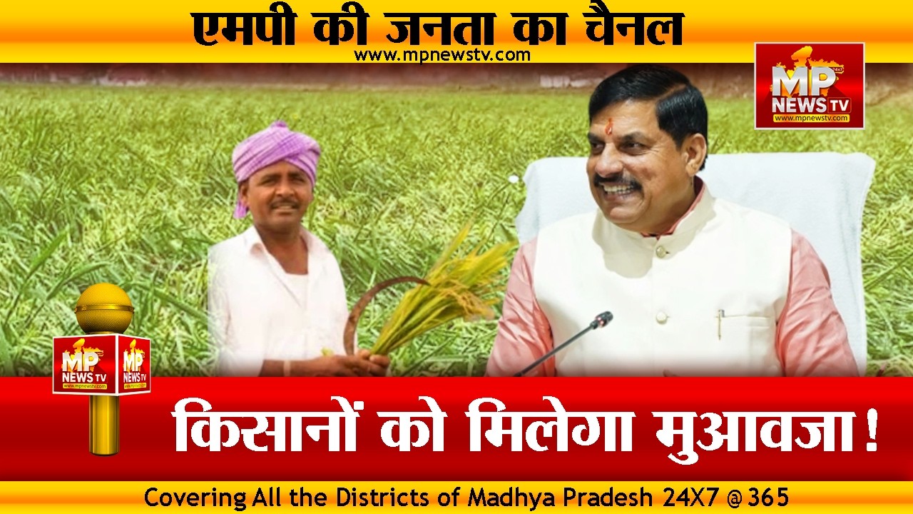 बेमौसम बारिश से फसलें बर्बाद, मोहन सरकार ने किया मुआवजे का ऐलान ! MP News Indore