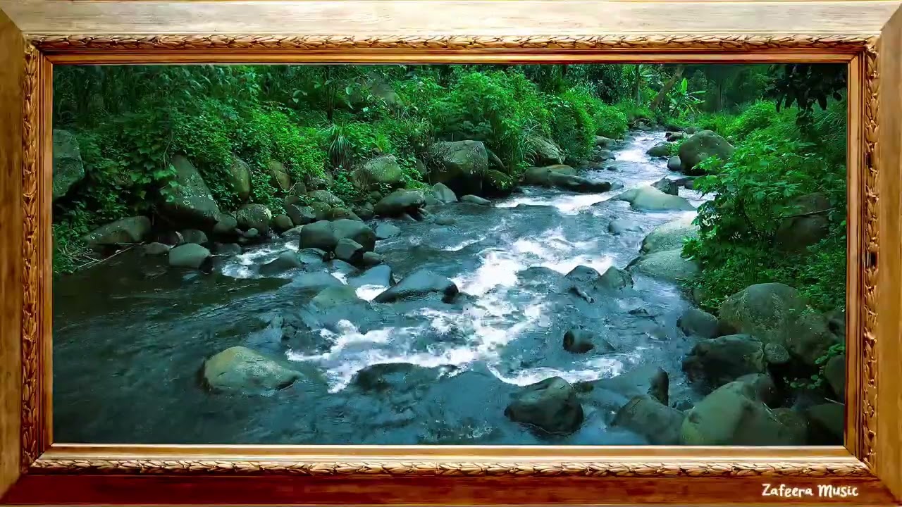 💥🎶 Relaxing Majestic Forest Sounds, River Flow  | Gentle Nature Sounds ASMR for Sleep & Meditation