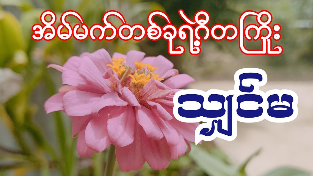 အိမ်မက်တစ်ခုရဲ့ဂီတကြိုး သျှင်မ Burmese Audio Story part 73