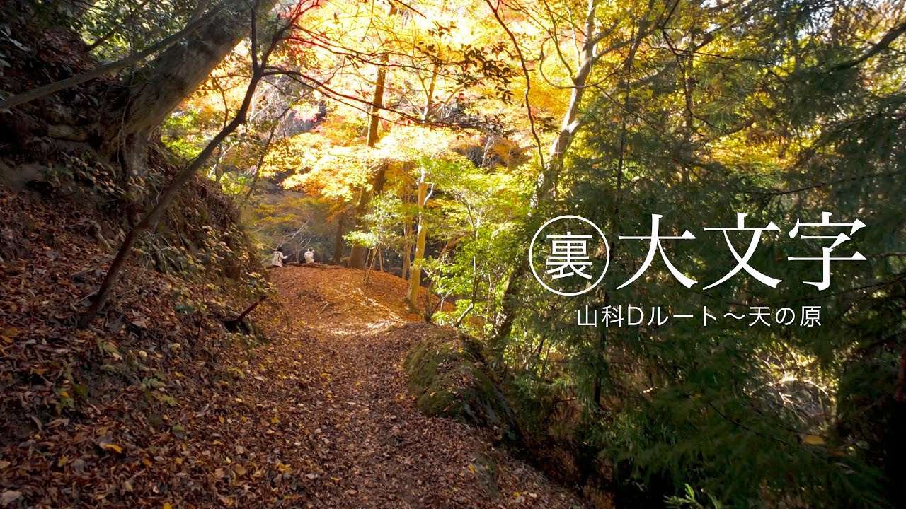 Mt.Daimonji 9km forest thru-hike in Kyoto, Japan.【4K】