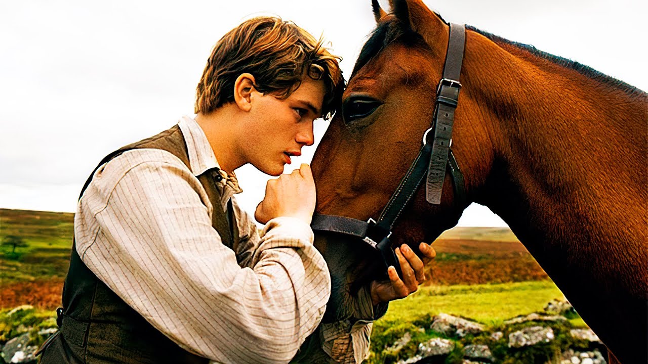 Como Ganhar a Confiança do seu Cavalo