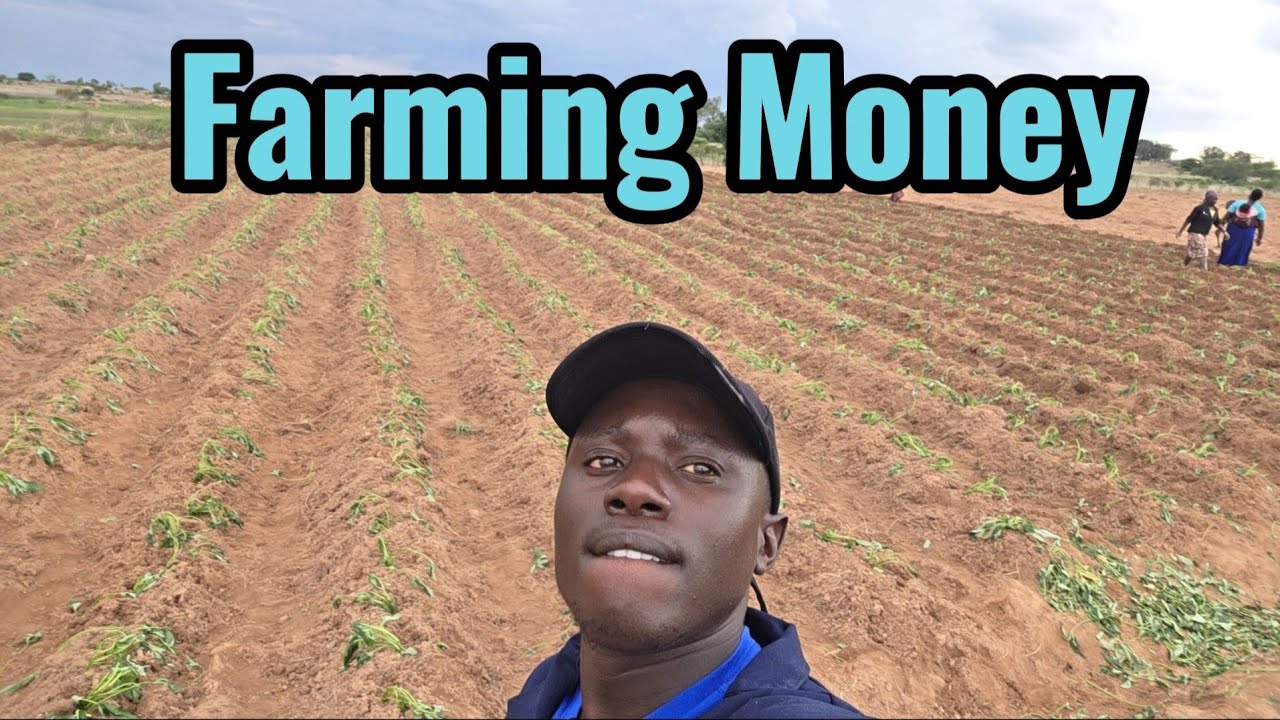 Our Farm tour in the rural Zimbabwe 🇿🇼 