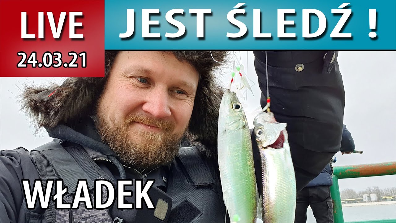 LIVE ➤ Akcja ŚLEDŹ - we Władku jest go dużo...