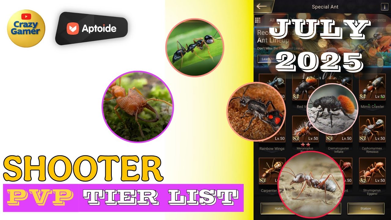 Shooter Ants Updated Latest PVP Tier List including All Ants Till now | The Ants Underground king