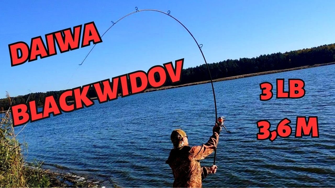 Плюси та мінуси вудилища DAIWA BLACK WIDOW.