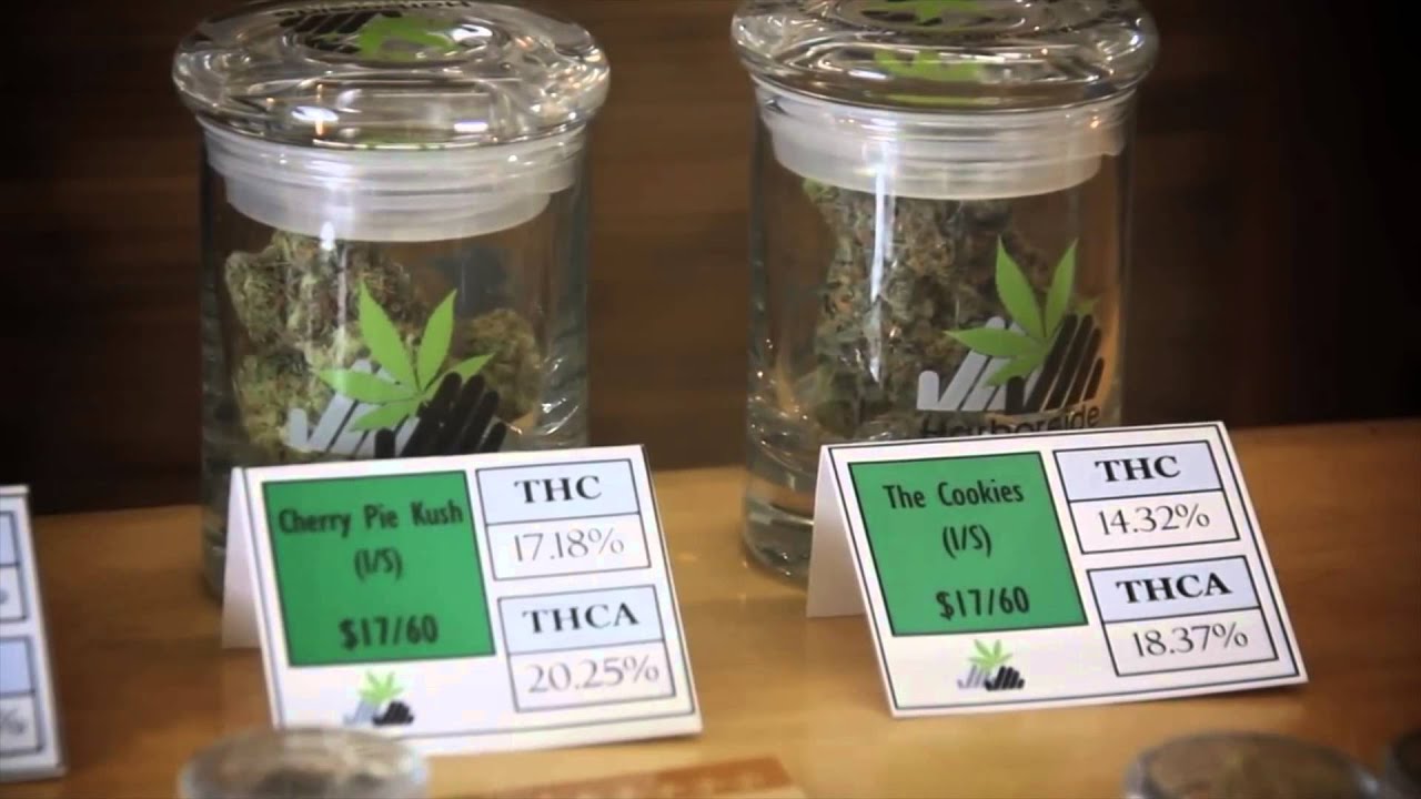Millenniums Medical Marijuana Mentality