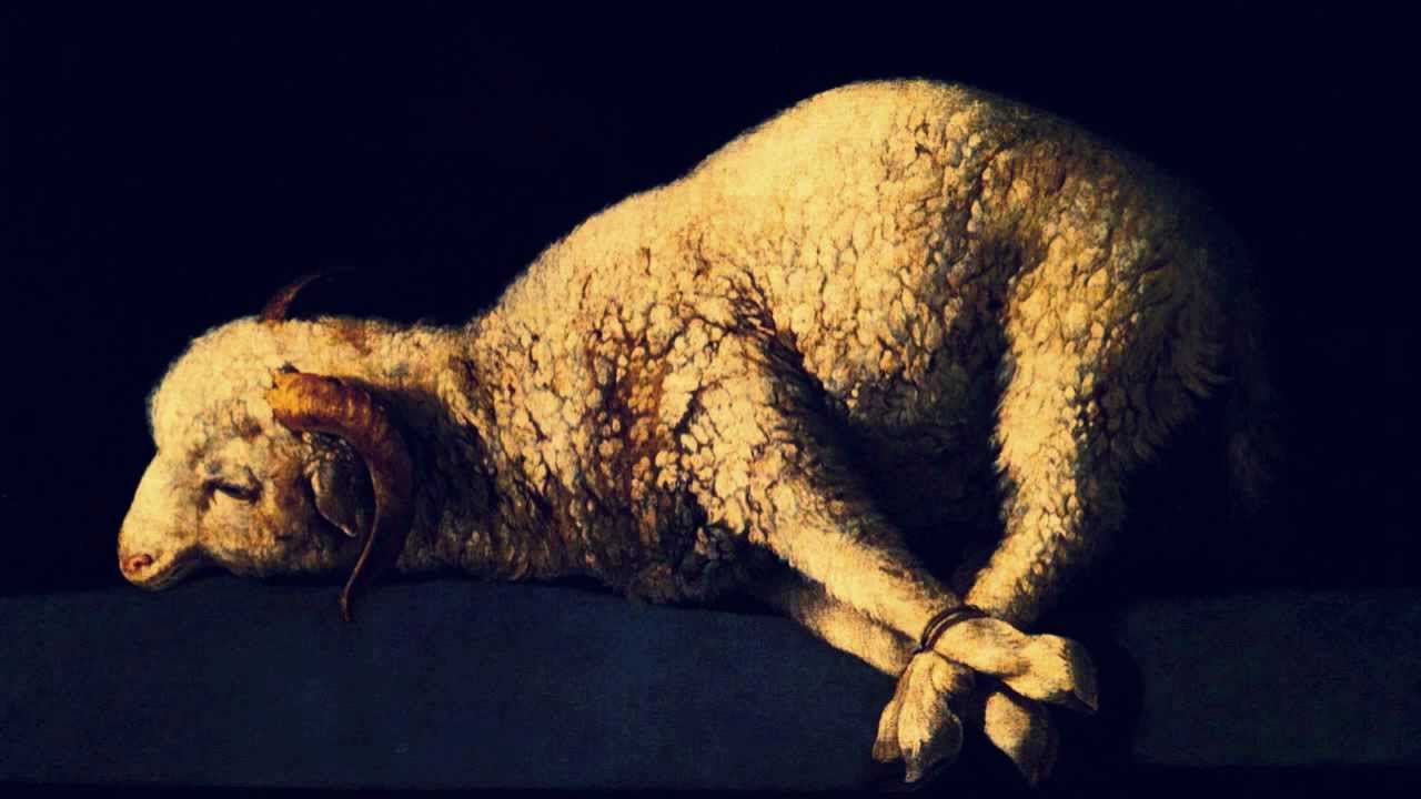 Fee - Εν τάξει
