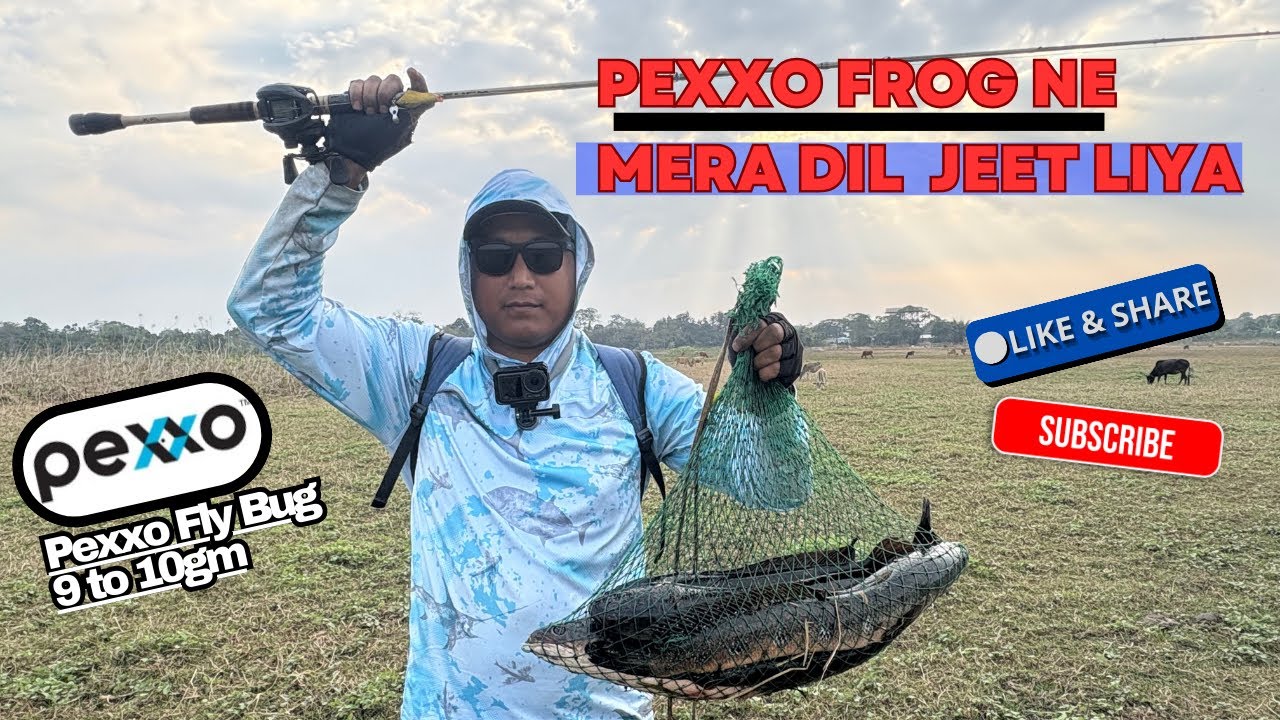 Pexxo Frog ne mera dil jeet liya🐸 Ek baar Pexxo lure try karke dekho snakehead fish ke liye🎣