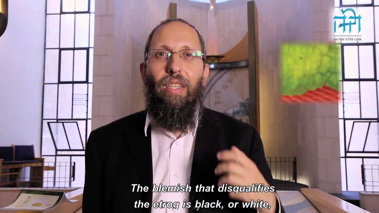 הרב רימון - כל מה שצריך לדעת על כיצד בוחרים אתרוג