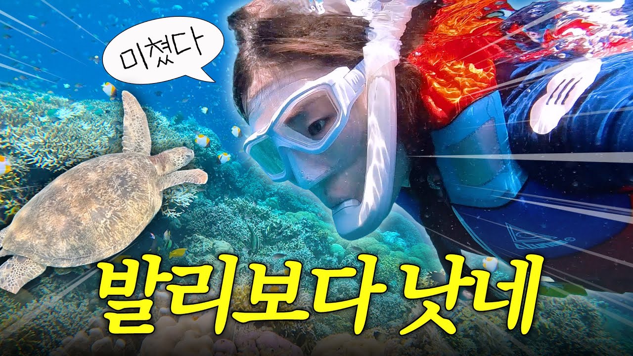 발리 취소하고 여기 가세요.. 한국인 1%도 모르는 역대급 바다 (마나도 부나켄편)