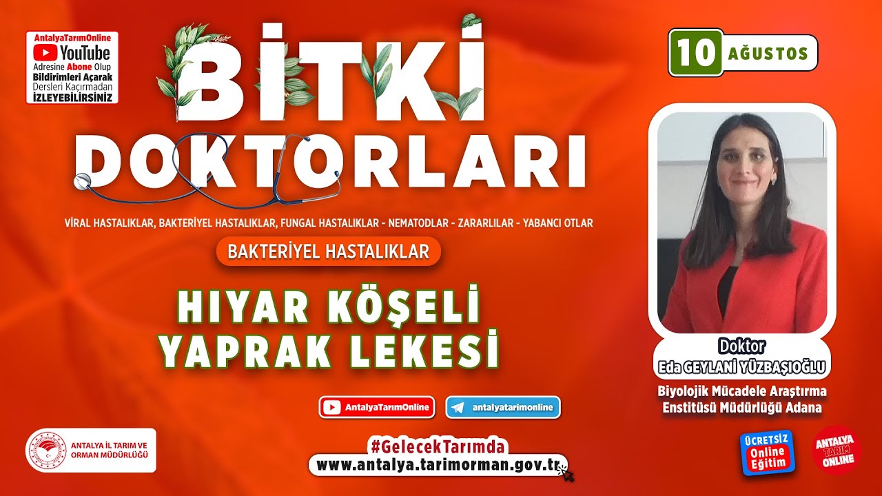 Bitki Doktorları 47- Hıyar Köşeli Yaprak Lekesi ( Pseudomonas syringae pv. lachrymans )ve Mücadelesi