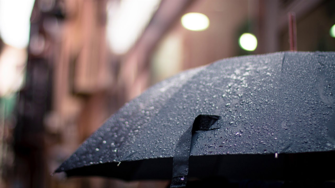 【環境音】傘に当たる雨の音 1時間【ASMR】勉強用・作業用BGM  Rain sound hitting an umbrella