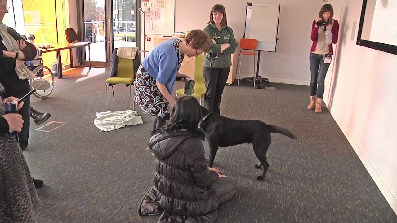 Technology for dogs to assist humans in the home