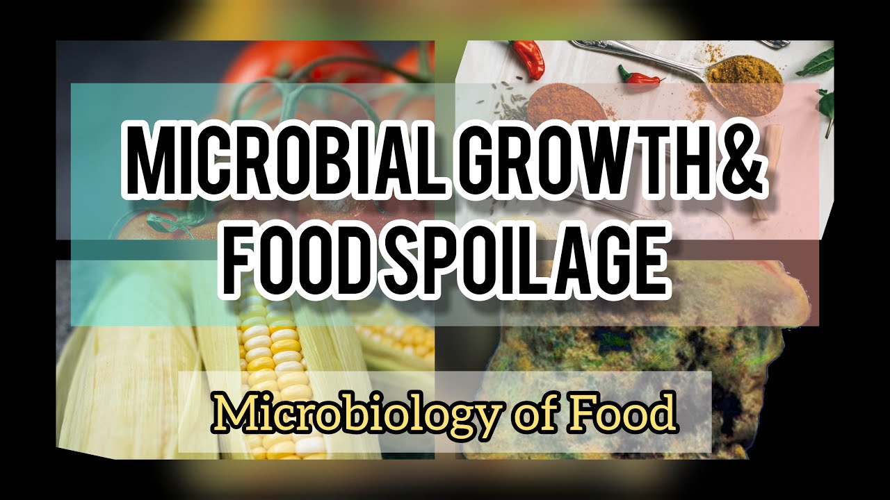 MICROBIAL GROWTH & FOOD SPOILAGE | FOOD MICROBIOLOGY | BIOLOGY UNIVERSITY