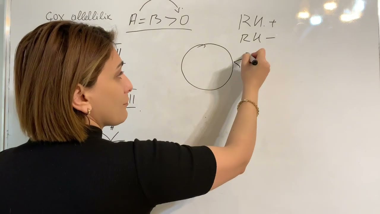 Qan qrupu .qanda çökmə  . Menfi müsbet qan alma verme