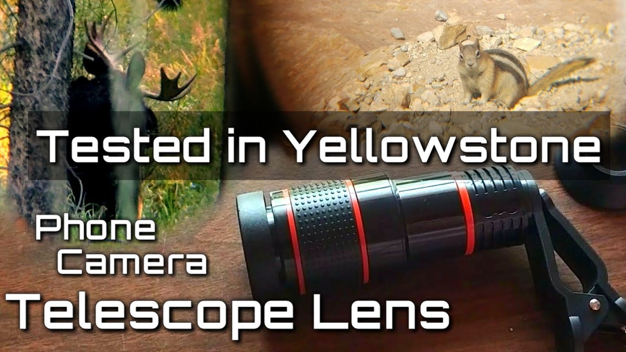 Filming Wildlife with Smartphone 12x Zoom Telescope Phone Camera Lens from Amazon: Does it Work?
