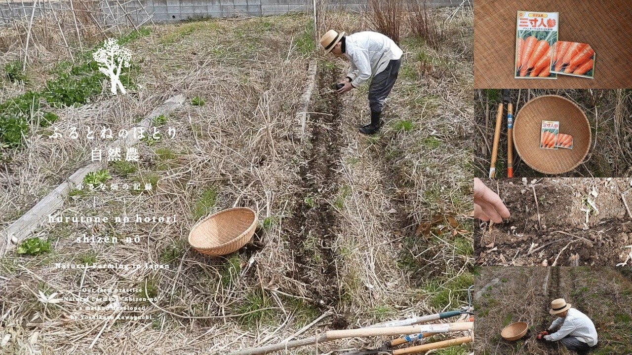 「春人参」の種蒔き《第二弾》2月下旬蒔きで発芽する？検証②種蒔き編〜温かい畝選びと種を簡単に蒔ける道具〜26年2月24日