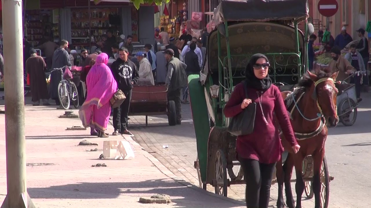 TAROUDANT A PIEDS DANS LA VILLE