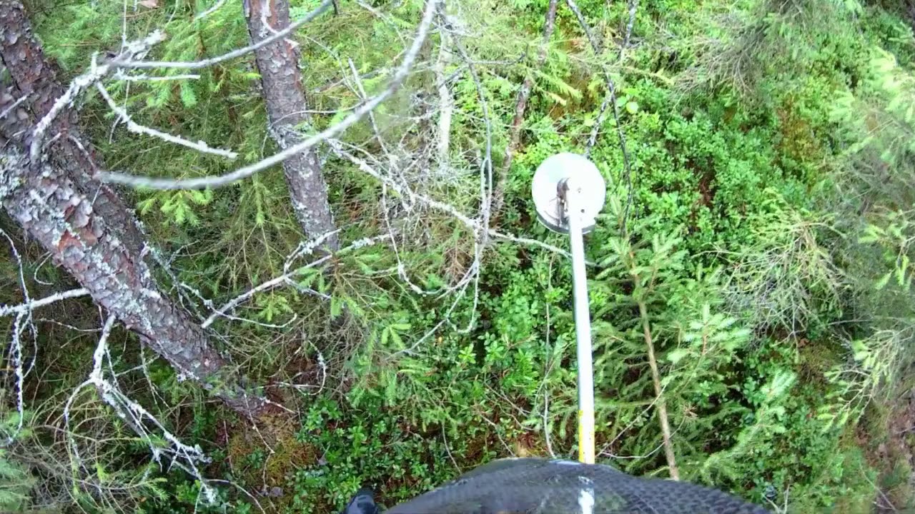 Metsän raivausta