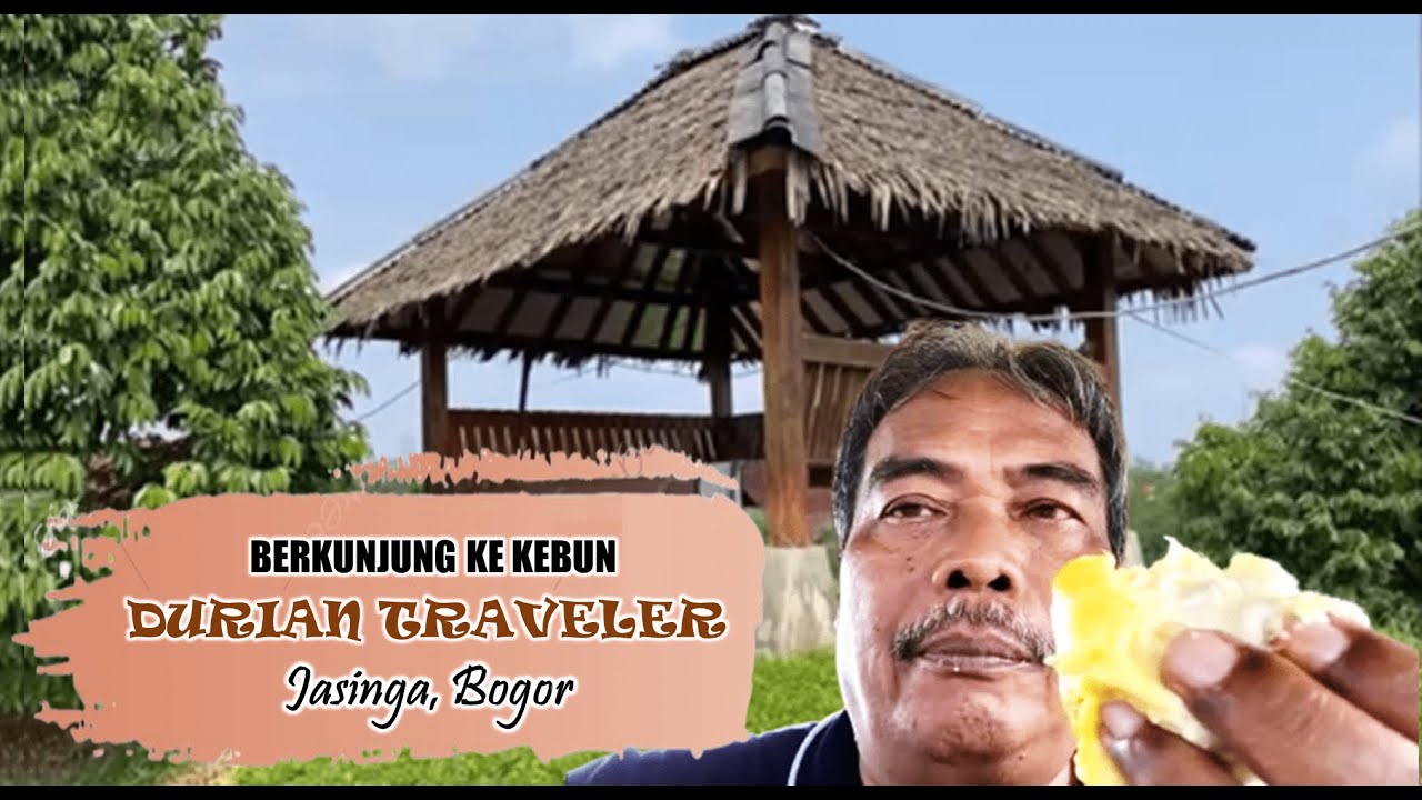 BERKUNJUNG KE KEBUN DURIAN TRAVELER JASINGA FARM, BOGOR
