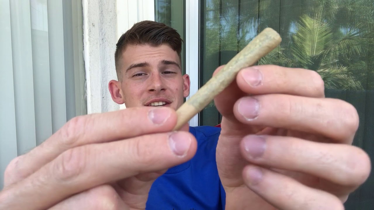 Strain Review!! (Glucifer by Terraform Genetics)