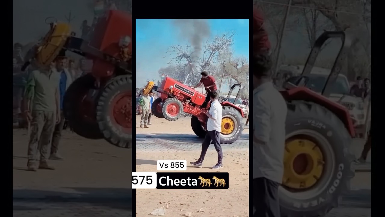 Mahindra 575 tochan king vs swaraj 855 #tochan#shortvideo #tractor #tractorstunt #trendingvideo