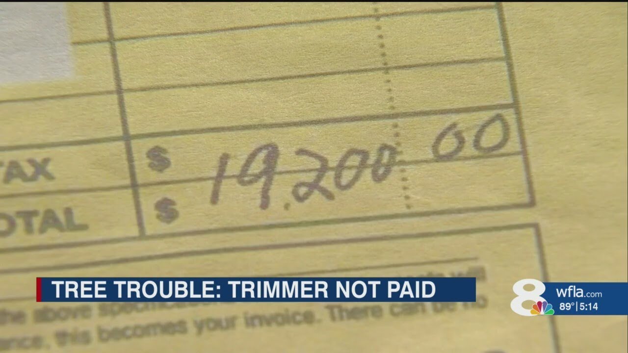 Tree trimming company out $19,200 after not being paid for work