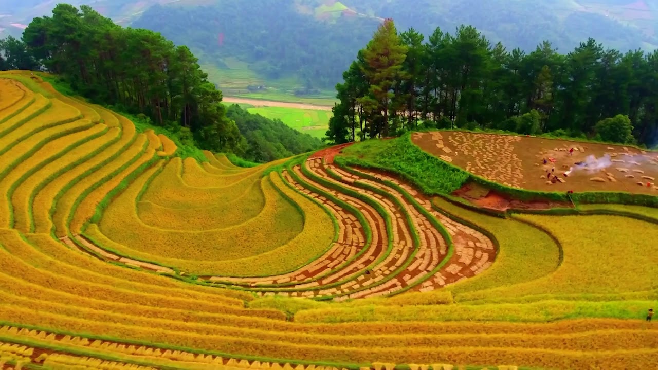 SÁO H'MÔNG - TIẾNG GỌI VÙNG CAO -  NHẠC SĨ QUỐC HUY