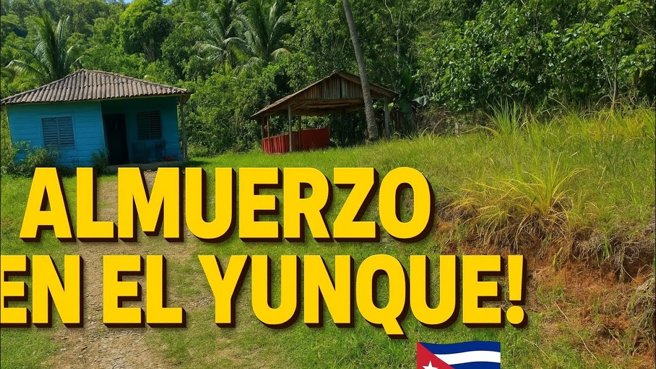 Almuerzo en el yunque 🍲 #cubanos #mimivlog #baracoacuba #Almuerzo #cubanosporelmundo #cocina 